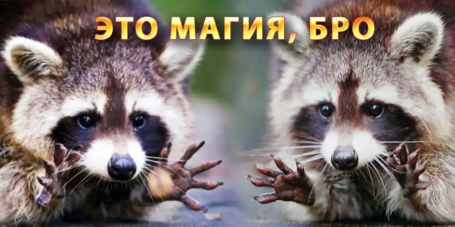 Практика дарения радости жизни и любви