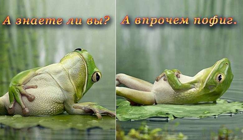 А знаете ли вы суть жизни